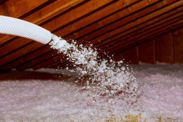 Best Insulation Installation Services in Utqiagvik, AK